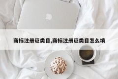商标注册证类目,商标注册证类目怎么填