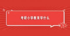 考研小学教育学什么（考研小学教育学就业前景）