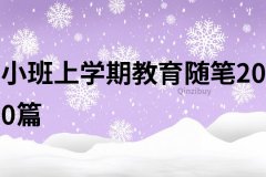小班上学期教育随笔200篇