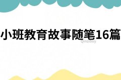 小班教育故事随笔16篇