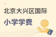 北京大兴区国际小学学费