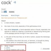 cock什么意思网络用语