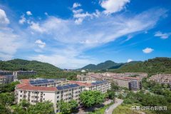 独立学院与民办大学整体比较（将从私立到公立）