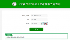 山东省教育招生考试院：山东省2022年成人高考录取去向查询系统已开放