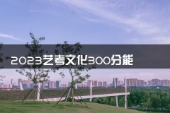 2023艺考文化300分能上啥学校 艺考文化课的要求