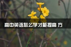 高中英语怎么学才能提高 方法是什么