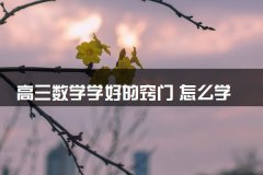 数学学好的窍门