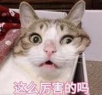 251套！广州首批共有产权住房开放申购！申请方式↘