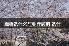 高考选什么专业比较好 选什么专业实用