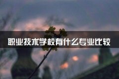 职业技术学校有什么专业
