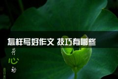 怎样写好作文 技巧有哪些