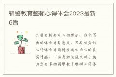 辅警教育整顿心得体会2023最新6篇