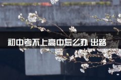 初中考不上高中怎么办 出路有哪些