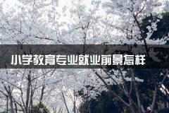 小学教育专业就业前景怎样 工资一般是多少