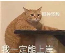 考研培训机构哪个比较好考（想要报个班学习）