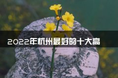2022年杭州最好的十大高考培训机构排名