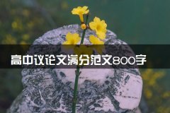 高中议论文满分范文800字 优秀作文精选
