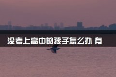 没考上高中的孩子怎么办 有什么出路