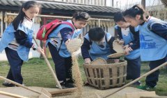 重庆市渝中区中华路小学校党委副书记、校长曾菁：守正出新 育面向未来的“