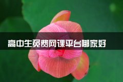 高中生免费网课平台哪家好