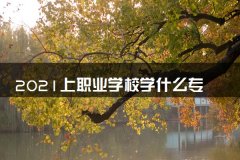 2021上职业学校学什么专业比较好