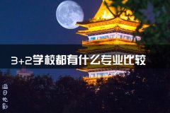 3+2学校都有什么专业比较好