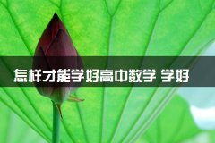 怎样才能学好高中数学 学好数学的方法和技巧