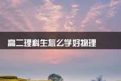高二理科生怎么学好物理