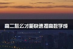 高二怎么才能快速提高数学成绩