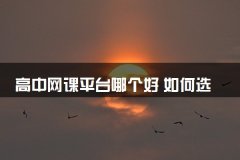高中网课平台哪个好 如何选择