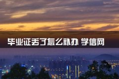 毕业证丢了怎么补办 学信网可以打印吗