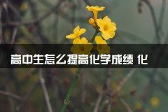 高中生怎么提高化学成绩 化学学习技巧及方法