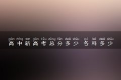 高中新高考总分多少 各科多少分