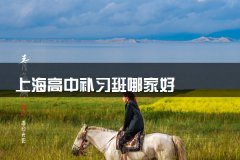 上海高中补习班哪家好