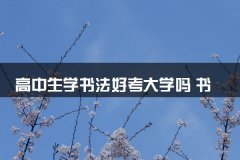 高中生学书法好考大学吗 书法艺考难不难