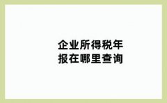 企业所得税年报-企业所得税年报在哪里查询