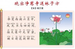 75首小学必背古诗绝句（小学生必背古诗词）