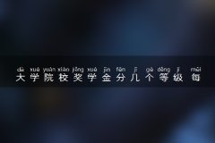 大学院校奖学金分几个等级 每个等级多少钱