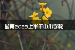 湖南2023上半年中小学教师资格考试时间 具体是几号