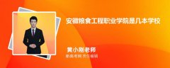2023年安徽粮食工程职业学