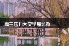 高三压力大厌学怎么办