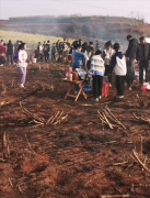 小学生背着“锅碗瓢盆”去春游 在田地里生火做饭