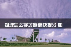 物理怎么学才能更快提分