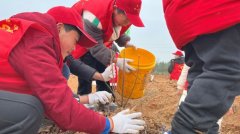 庐江泥河：“学习＋实践”奏响学雷锋的“交响乐”