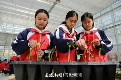 绥阳：劳动教育促成长