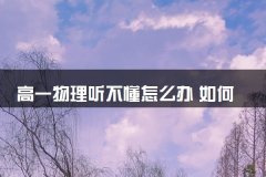 物理听不懂怎么办