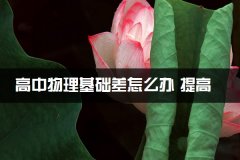 高中物理基础差怎么办 提高物理成绩方法