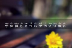 学信网怎么打印学历认证报告