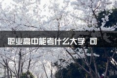 职业高中能考什么大学 可以考本科吗