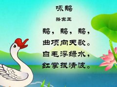 诗词节奏怎么划分 怎样划分诗句节奏?